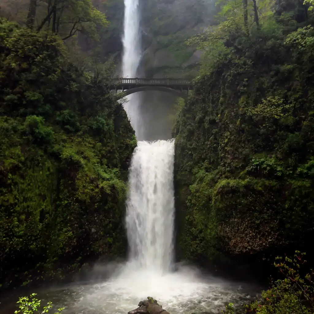 Multnomah Falls Portland cascading waterfall with bridge amid lush misty forest in morning light