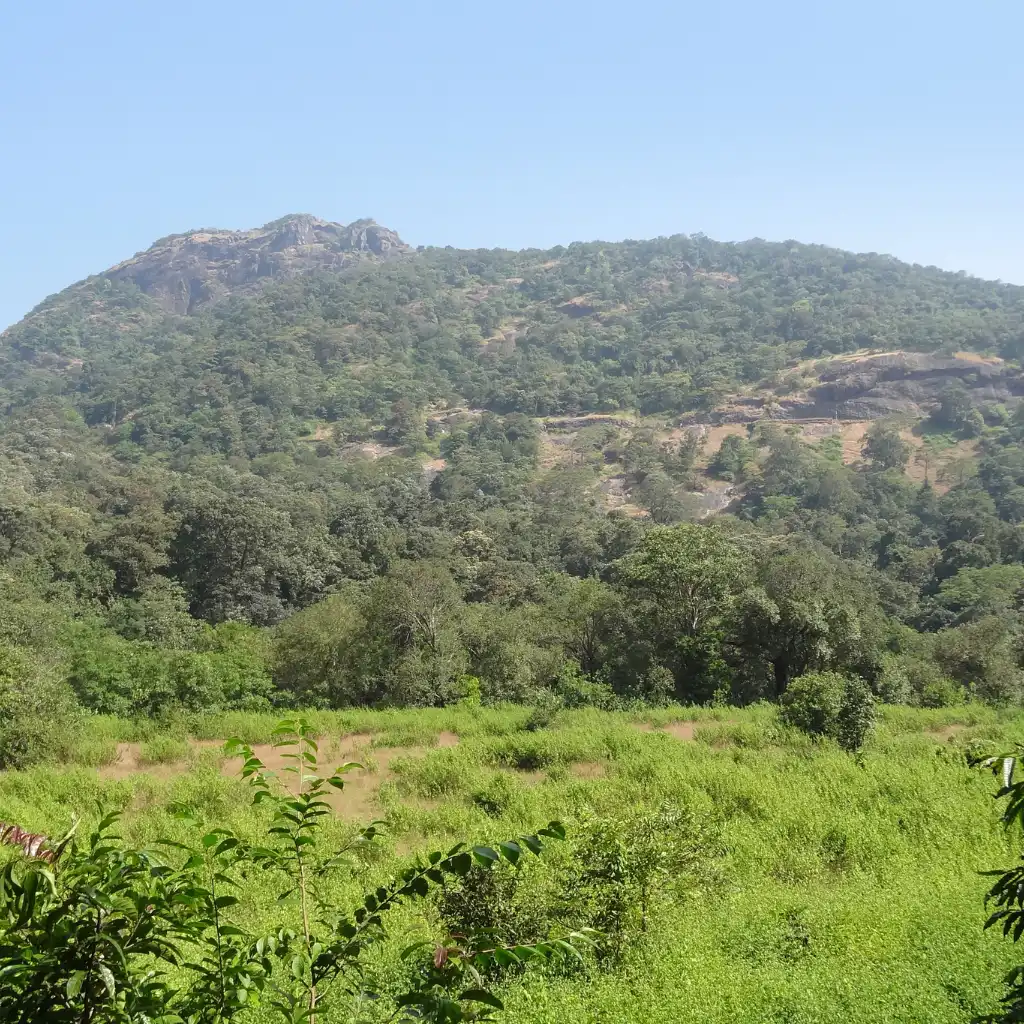 Bhagwan Mahavir Sanctuary Goa lush green hills and forest habitat for leopard spotting