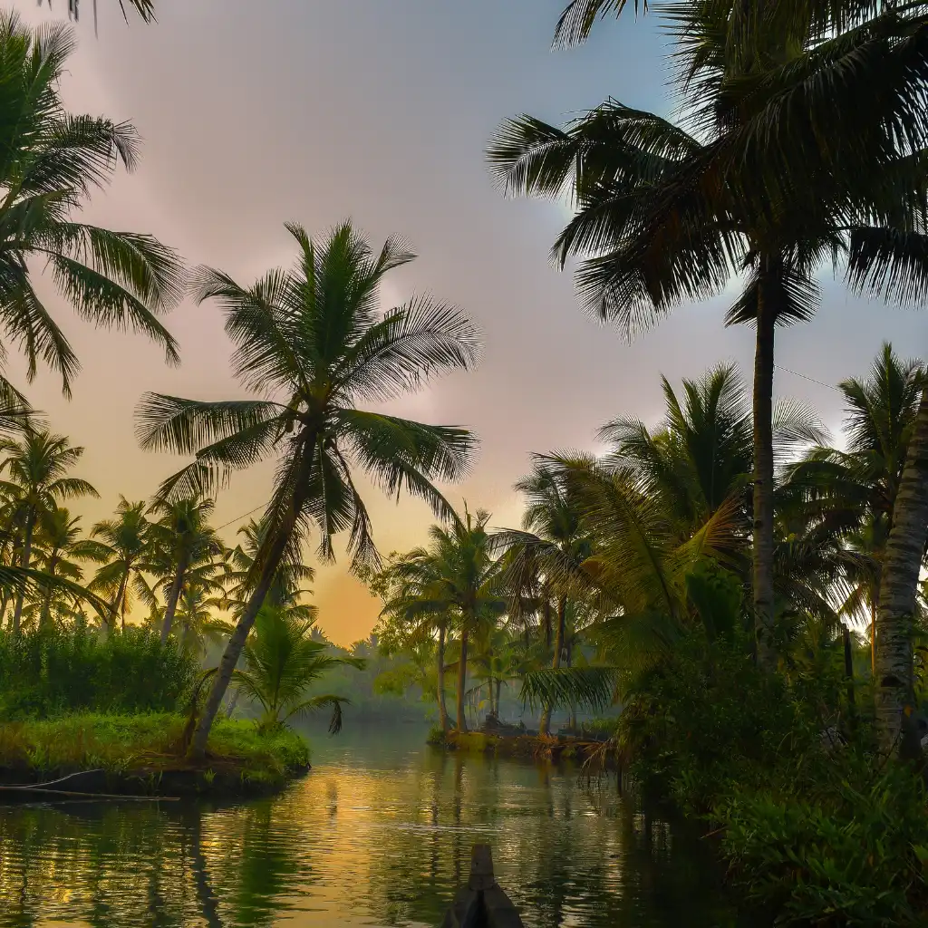 Munroe Island Canals kayaking at sunset with palm trees reflecting in calm Kerala backwaters
