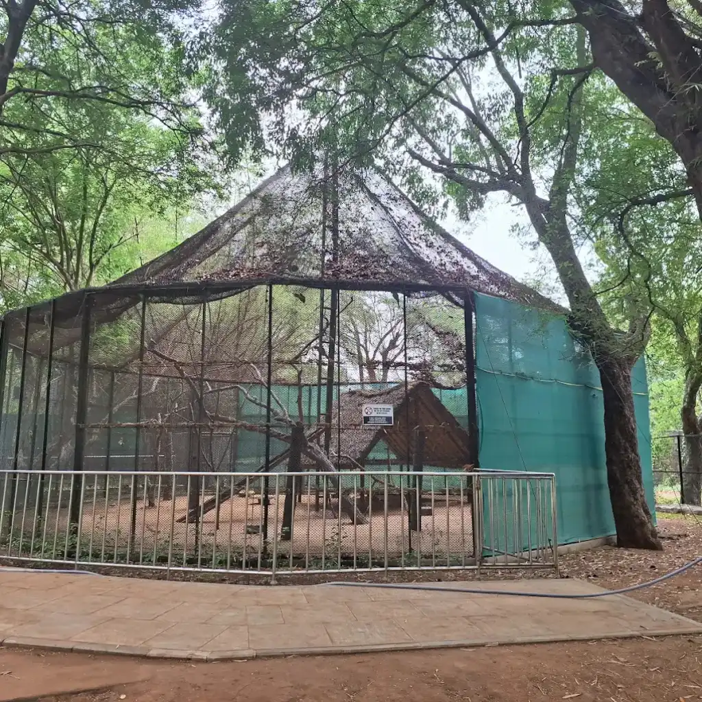 Blackbuck enclosure at Guindy National Park Chennai with trees and fencing