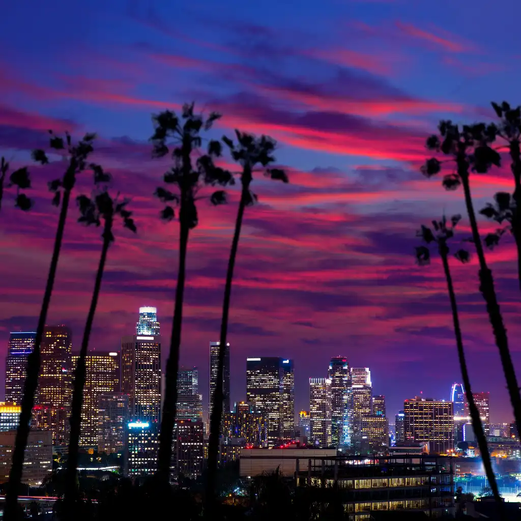 Los Angeles Night Tour skyline glowing at dusk with palm trees silhouetted against pink purple clouds