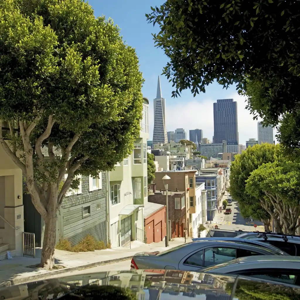 San Francisco cityscape with Transamerica Pyramid from hilly street lined with trees and homes