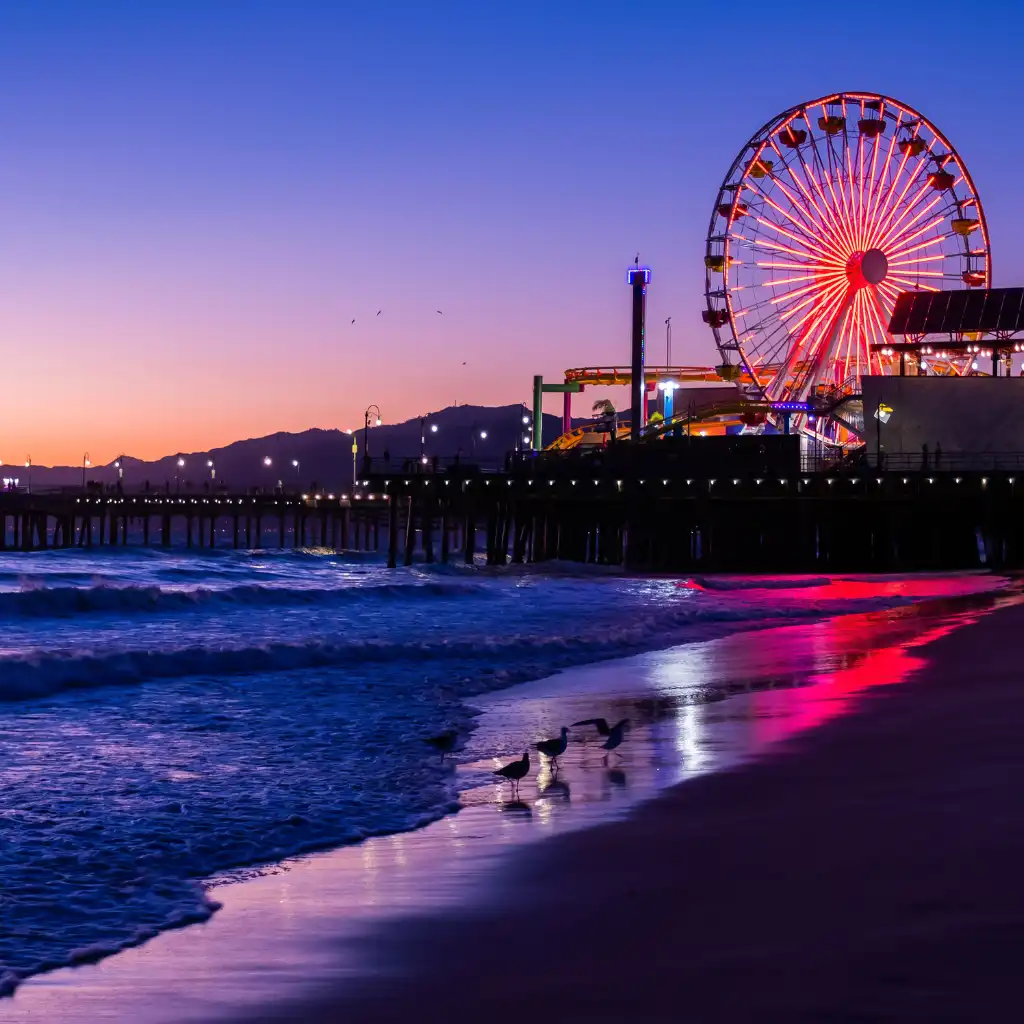 Santa Monica, Los Angeles pier at dusk with glowing Ferris wheel, waves and beach birds