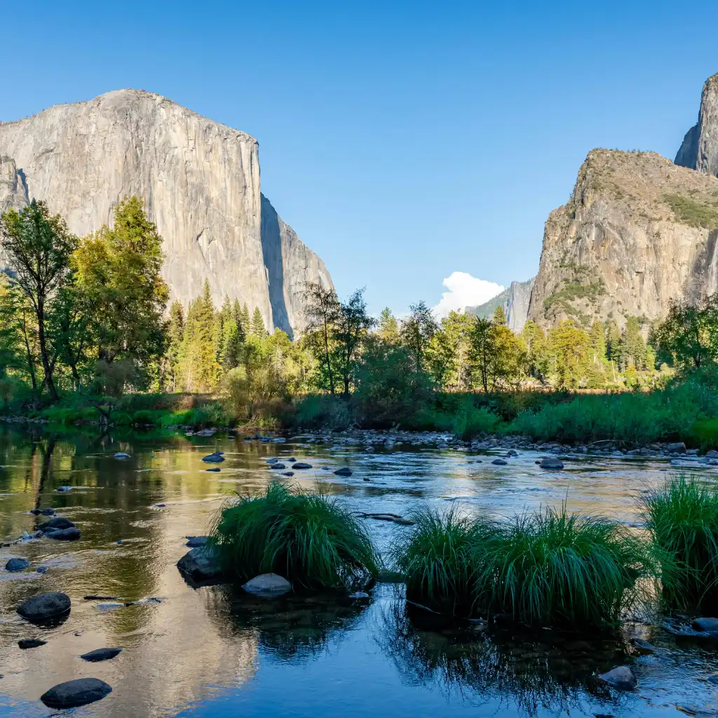 Yosemite California river valley with granite cliffs, trees and lush riverbank greenery