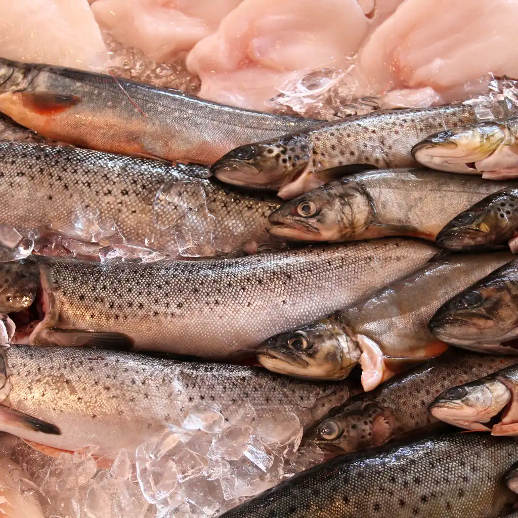 Fresh whole fish on ice at Bergen Fish Market, Norway