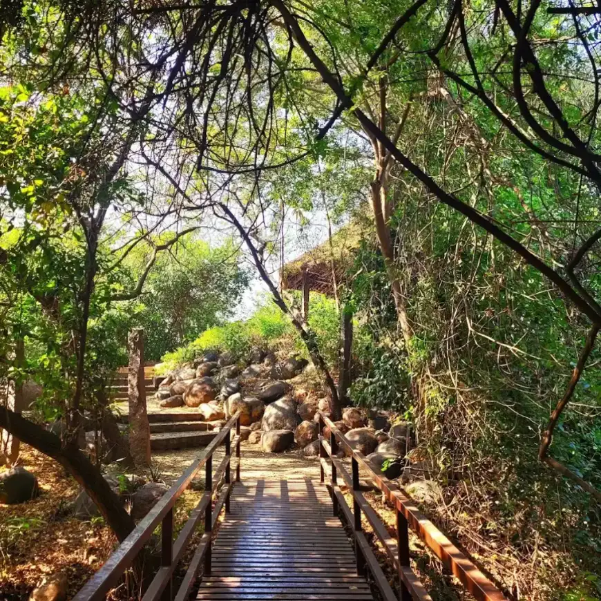 Tholkappiar Poonga (Adyar Eco-Park) wooden boardwalk through lush Chennai forest