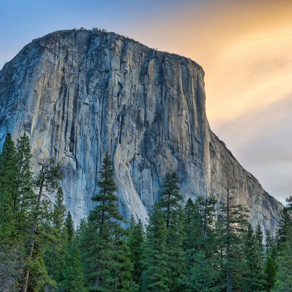 El Capitan California granite cliff towering over pine forest in Yosemite Valley at sunset