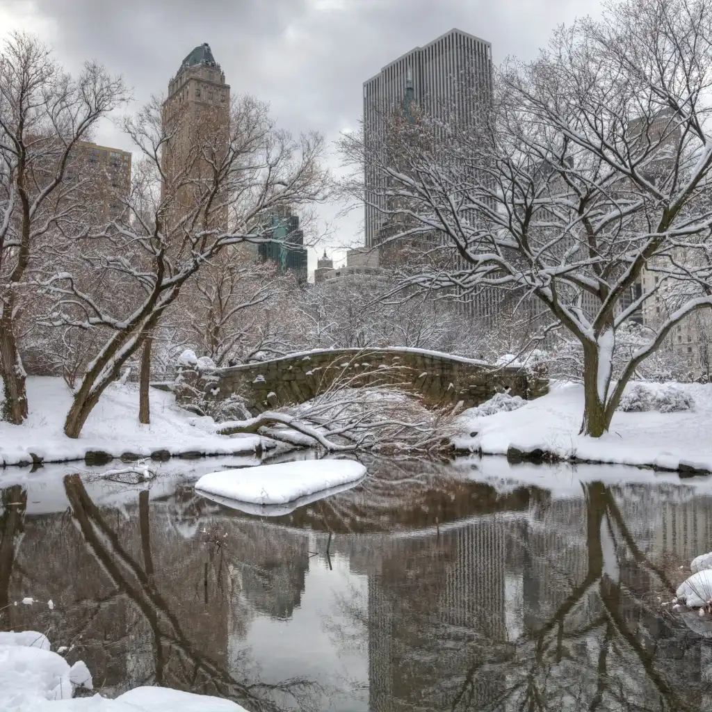 New York Winter Central Park snow scene with bridge, bare trees and skyline reflections in icy water