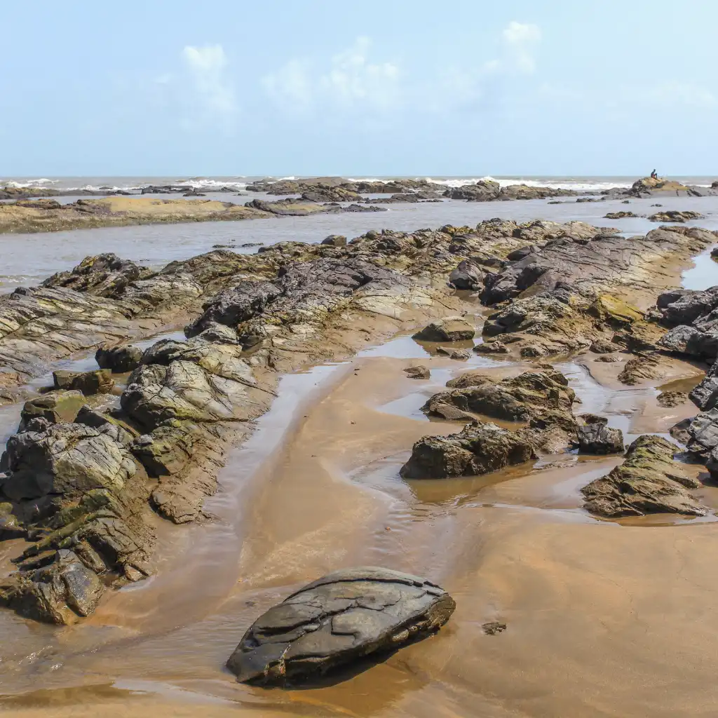 Morjim Beach Goa rocky shore with tidal streams and ocean waves at low tide