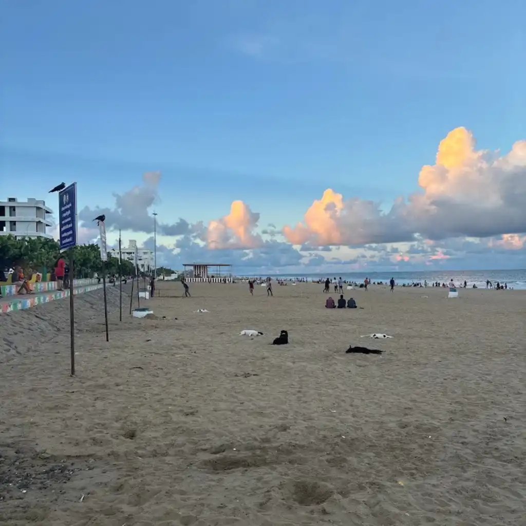 Thiruvanmiyur Beach Chennai visitors relaxing on wide sandy shores under golden sunset clouds