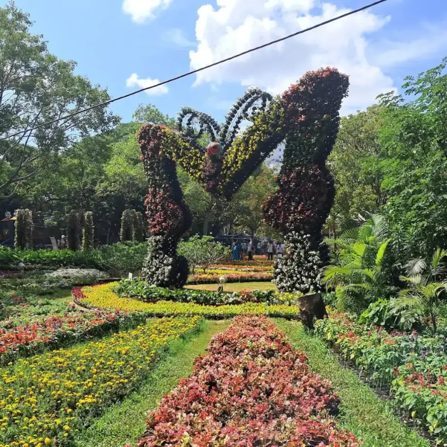 Semmozhi Poonga Chennai butterfly floral topiary in lush garden beds