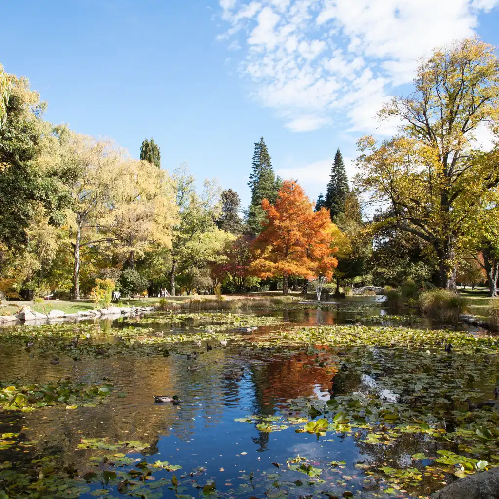 Queenstown Gardens lakefront walk with autumn trees and lily pad pond