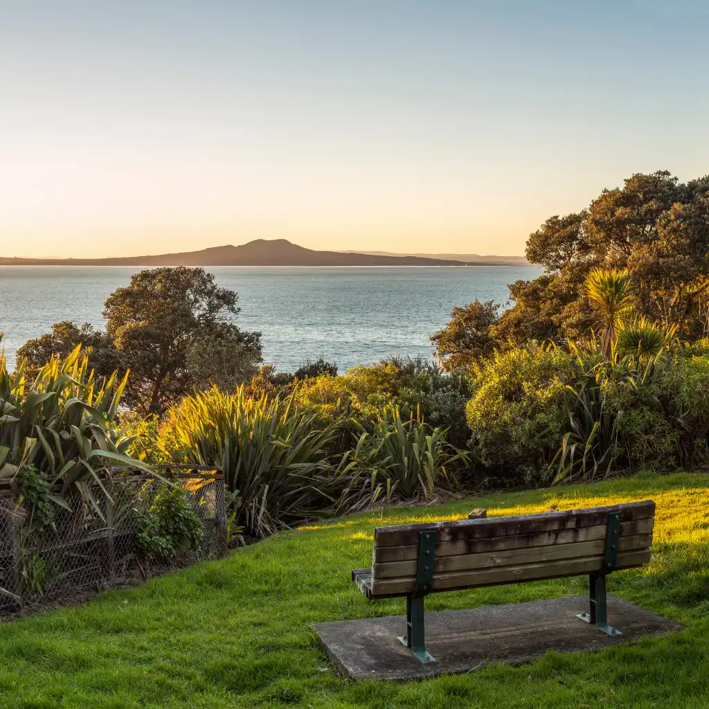Bench overlooking Rangitoto Island Auckland with lush coastal greenery and calm harbor views