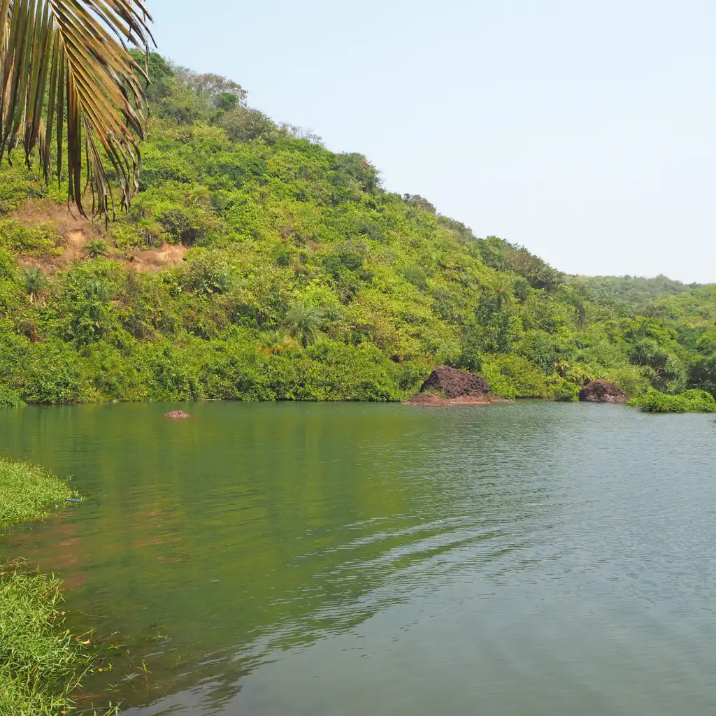 Arambol Sweet Water Lake Goa calm green waters for swimming amid lush hills
