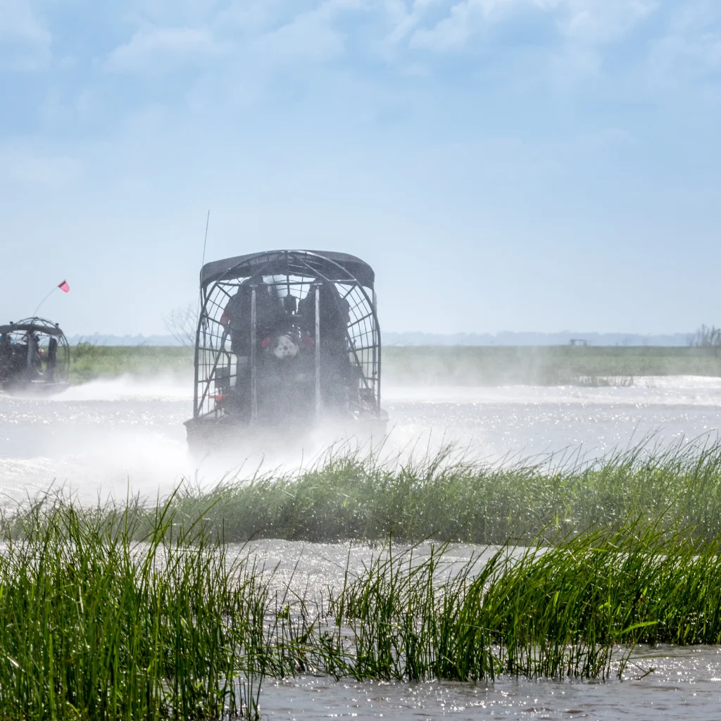 Everglades airboat Florida speeding through marsh reeds with water spray