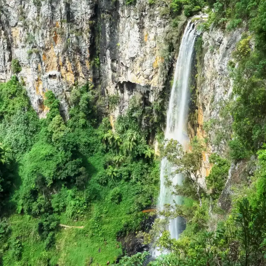Hinterland Waterfall Gold Coast plunging down lush green cliffs in the hinterland rainforest