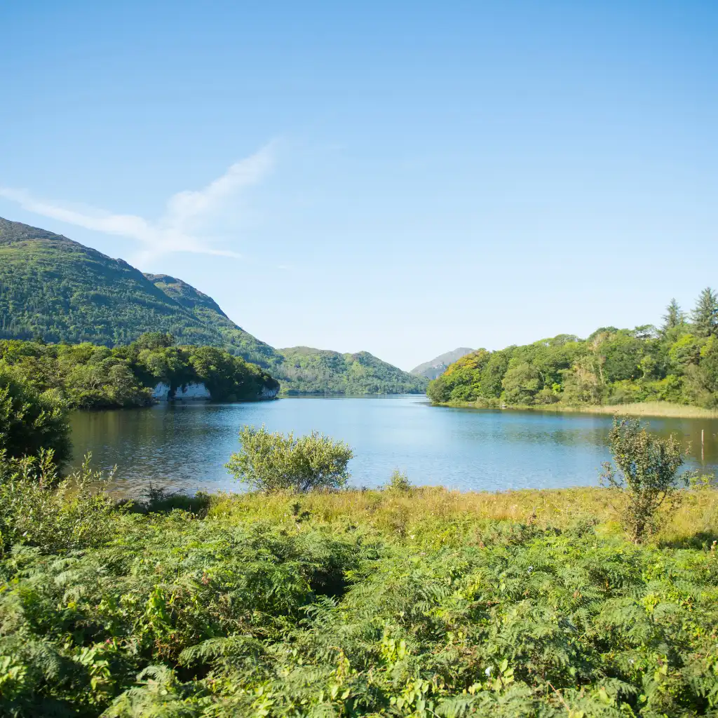 Killarney lakes with lush green hills and forests under blue sky in Ireland