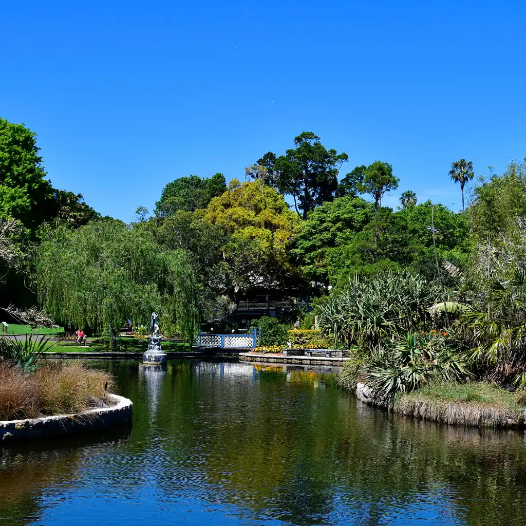 Royal Botanic Garden, Sydney pond with fountain amid lush trees and greenery under blue sky
