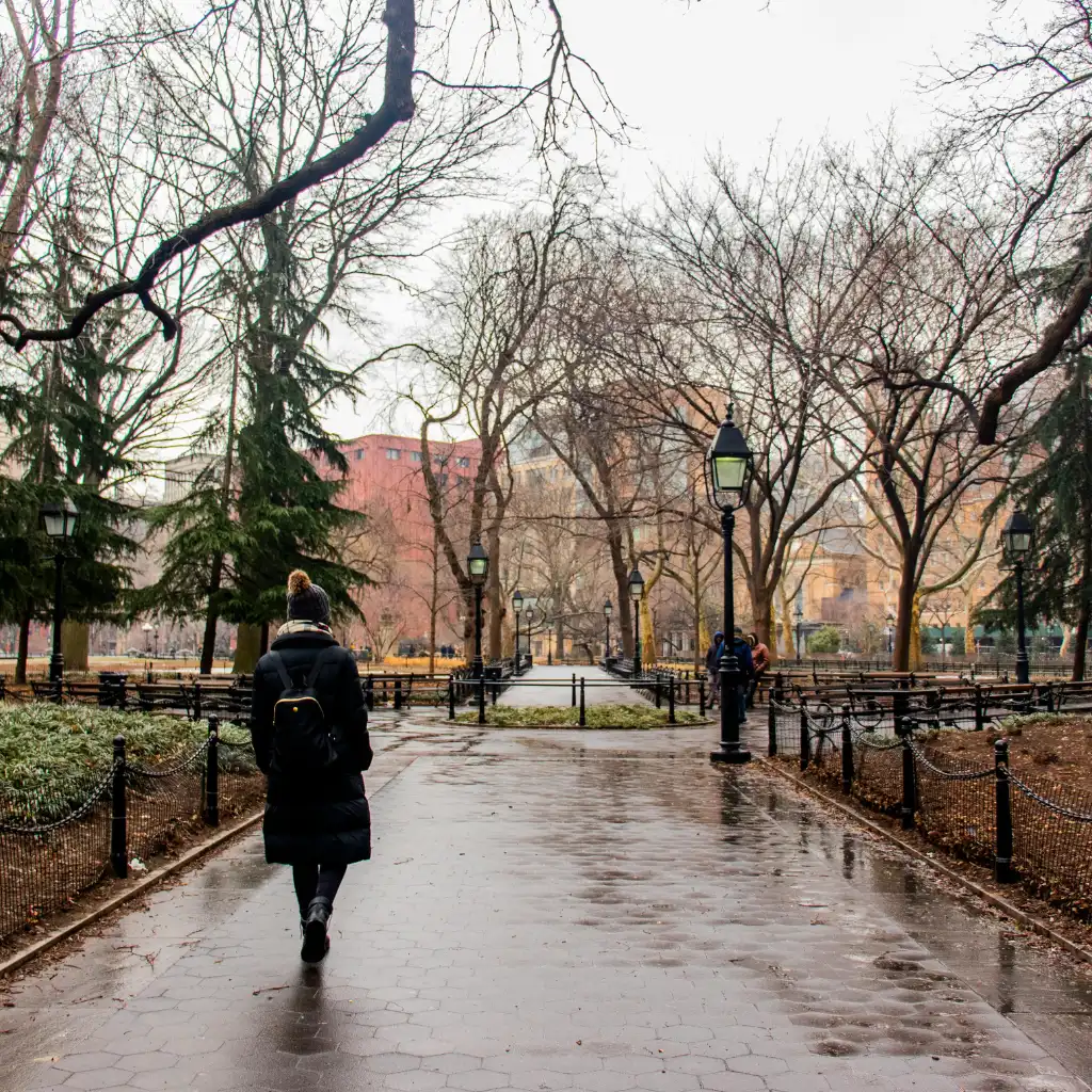 Washington Square Park New York rainy path with bare trees and lampposts in winter