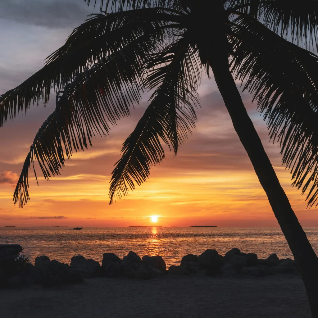 Key West sunset with silhouetted palm trees over the ocean beach at dusk