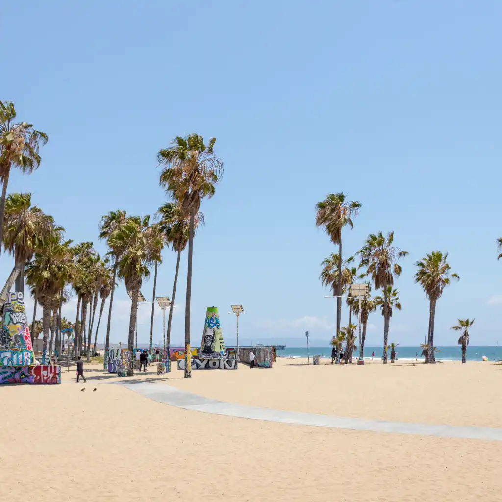 Venice Beach, Los Angeles sandy beach with palm trees, graffiti art and ocean views