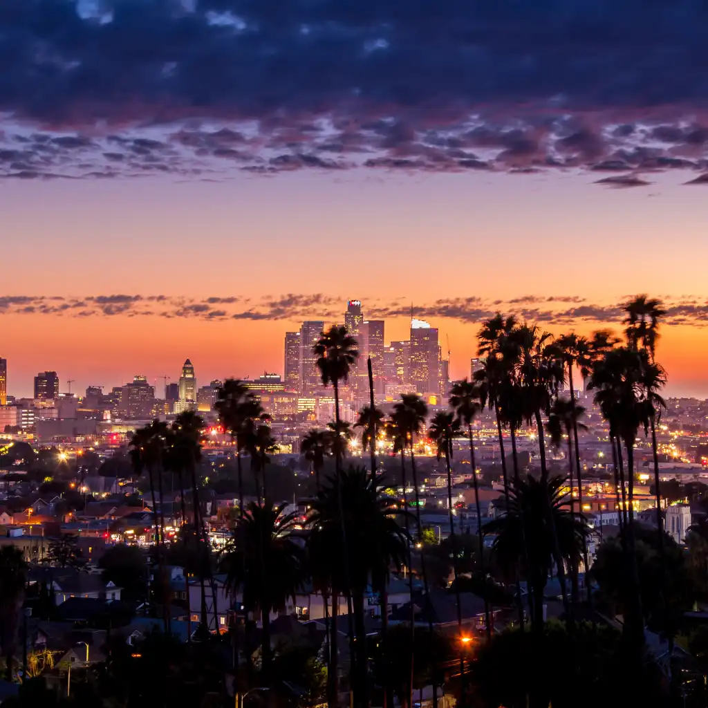 Hollywood Night Tour Los Angeles skyline glowing at dusk with palm trees in foreground