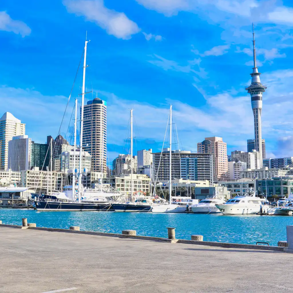 Auckland Skyline with Sky Tower rising over boats docked at the wharves