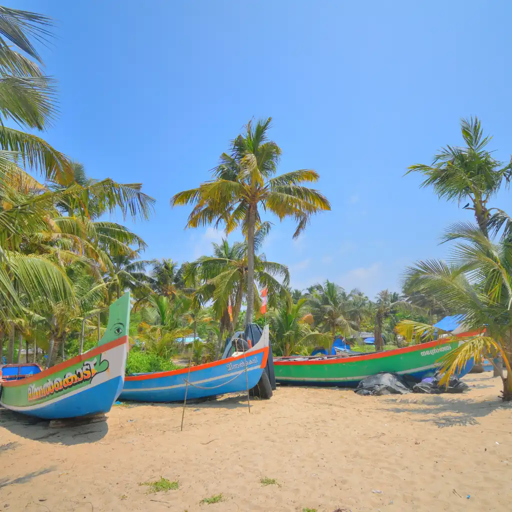 Colorful boats on Marari Beach Kerala sand with palm trees under blue sky