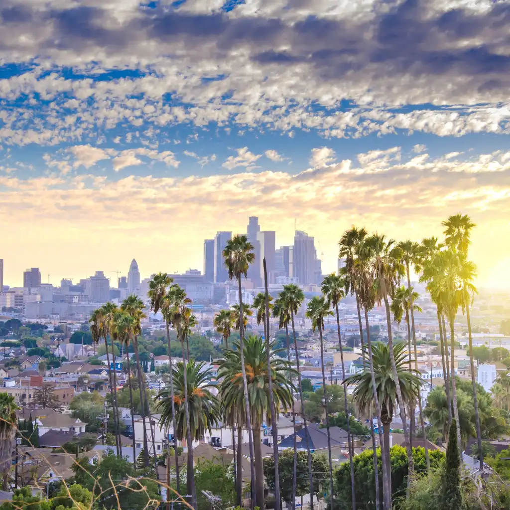 Los Angeles skyline with palm trees overlooking downtown at sunset
