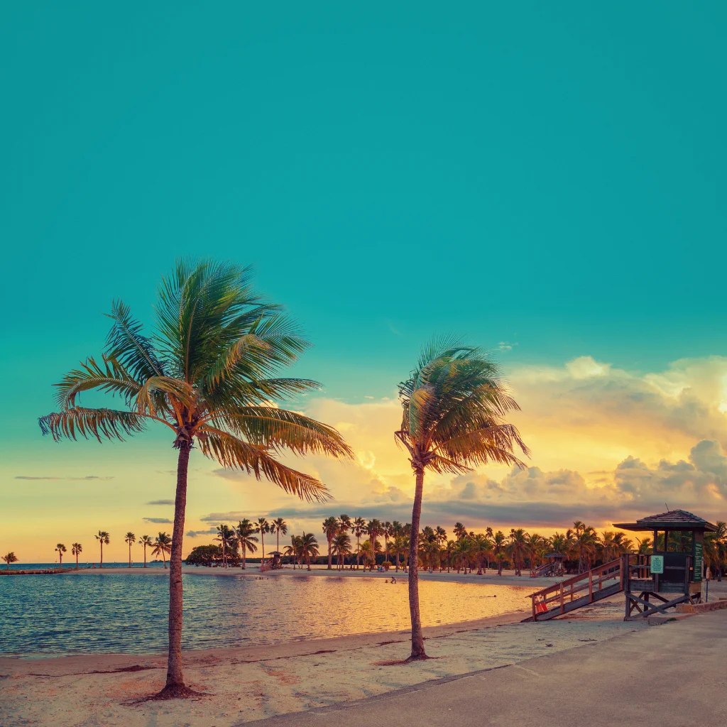 Miami sunset beach in Florida with palm trees and lifeguard stand at golden hour
